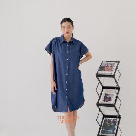 Lisa Denim Shirt Dress